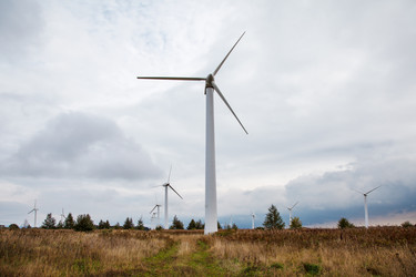 Similar image 21176551