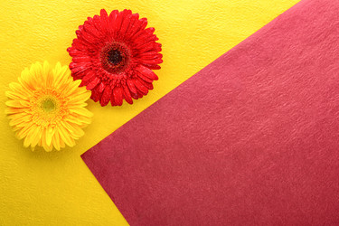 Similar image 21164681