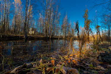 Similar image 21177027