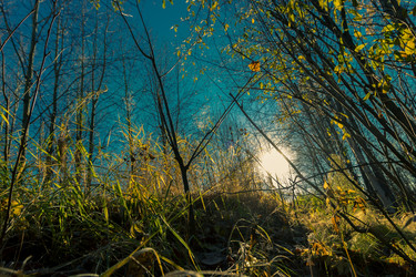 Similar image 21177028