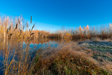 Similar image 21177029