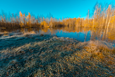 Similar image 21177030