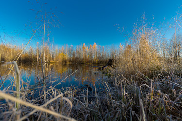 Similar image 21177032