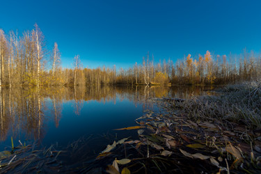 Similar image 21177034