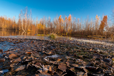 Similar image 21177035