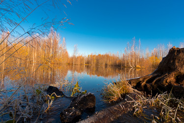 Similar image 21177036