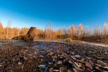 Similar image 21177037