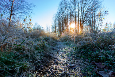 Similar image 21177038