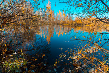 Similar image 21177039