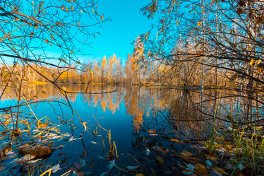 Similar image 21177040