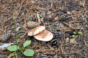 Similar image 21175412