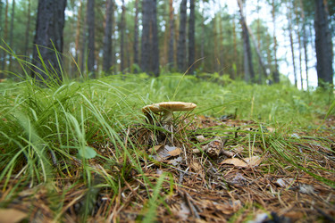 Similar image 21175414