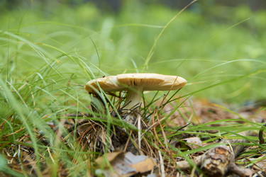 Similar image 21175415