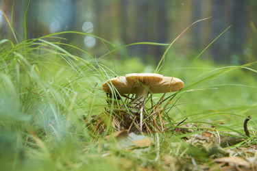 Similar image 21175416