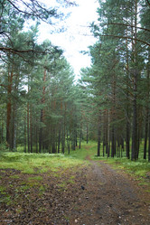 Similar image 21175417