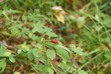 Similar image 21175418