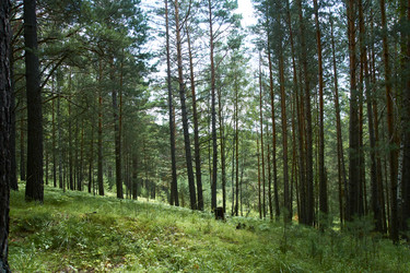 Similar image 21175420