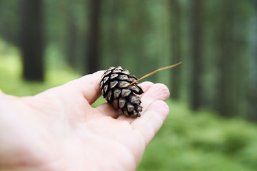 Similar image 21175421