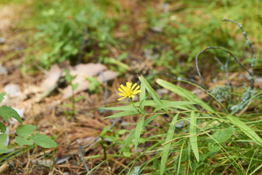 Similar image 21175422