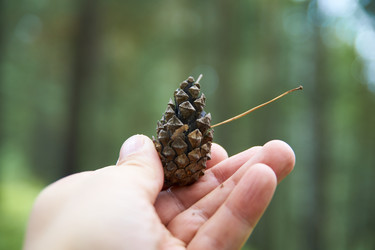 Similar image 21175423