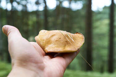 Similar image 21175424