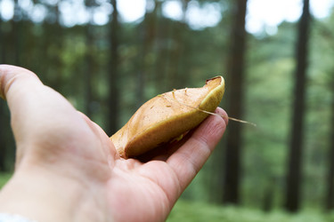 Similar image 21175425