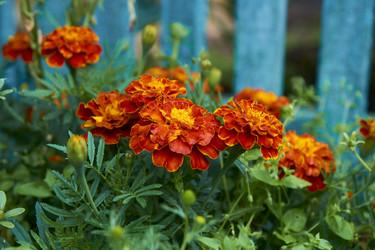 Similar image 21175426