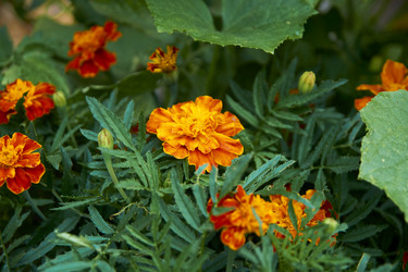 Similar image 21175428