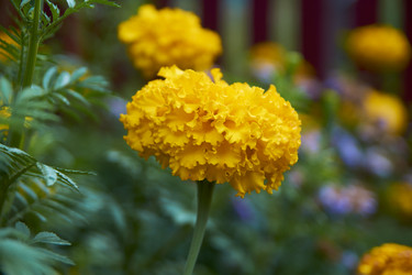 Similar image 21175430