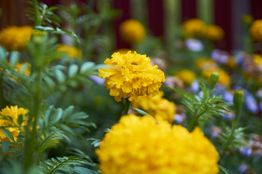 Similar image 21175431