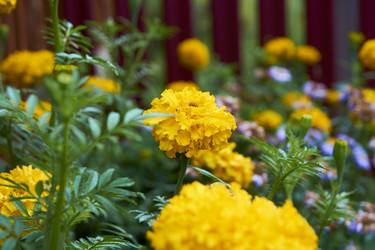 Similar image 21175432