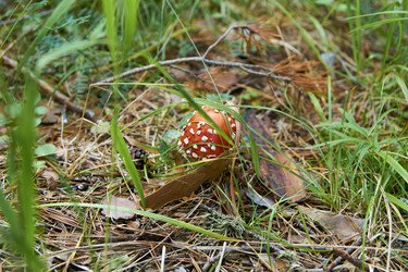 Similar image 21175467