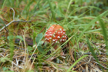 Similar image 21175468