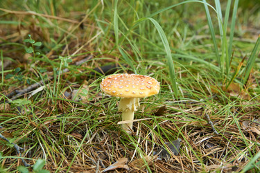 Similar image 21175469