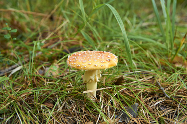 Similar image 21175470