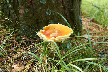 Similar image 21175471