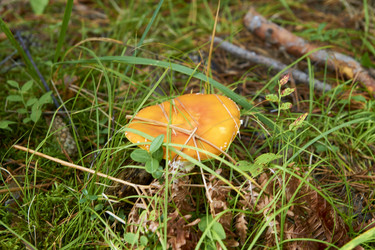 Similar image 21175472