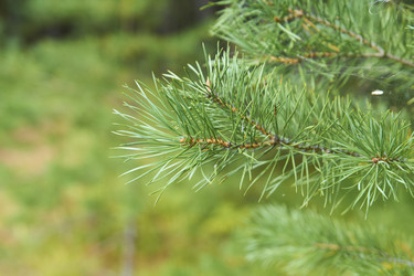 Similar image 21175473