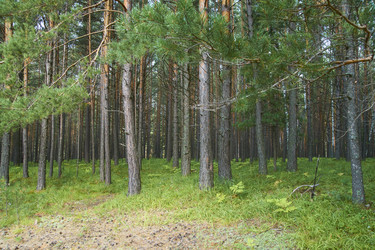 Similar image 21175475