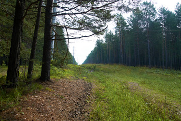 Similar image 21175476