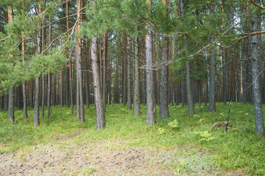 Similar image 21175479