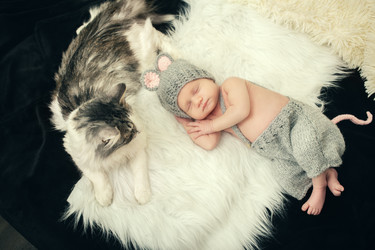 Similar image 21184385