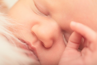 Similar image 21184388