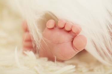 Similar image 21184390