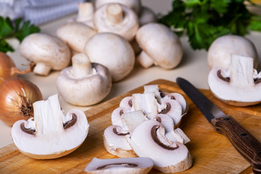 Similar image 21170308