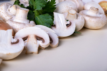 Similar image 21170312