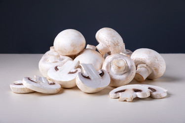 Similar image 21170316