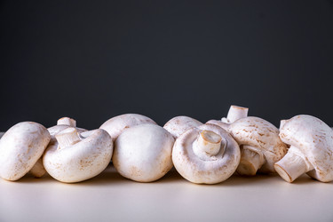 Similar image 21170317