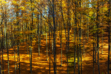 Similar image 21171116