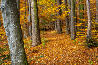 Similar image 21171131